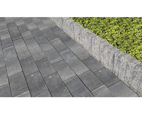 Pavés gris et bordures de pelouse dans le jardin