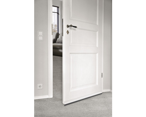 Porte intérieure blanche ouverte avec ferrures