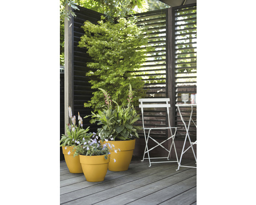 Terrasse mit Holzboden, Sichtschutz, Stuhl, Tisch und Pflanzkübeln mit Pflanzen