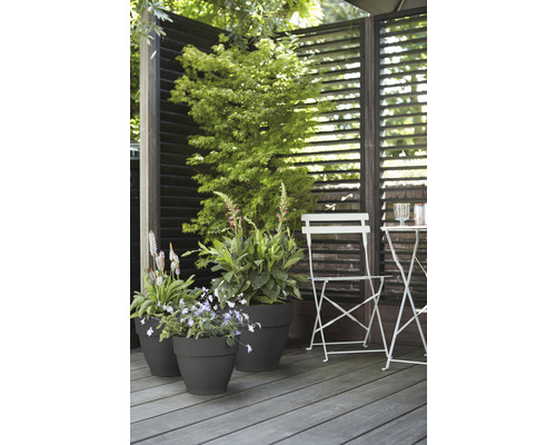 Gestalteter Aussenbereich mit Pflanzen in Töpfen, einem Gartentisch und Stuhl vor einem Sichtschutz