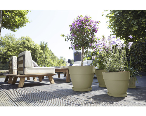 Terrasse mit Gartenmöbeln und bepflanzten Pflanzkübeln