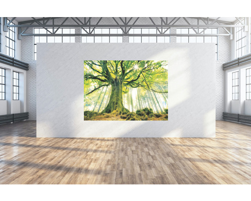 Toile murale Arbre vert 224x160 cm-0