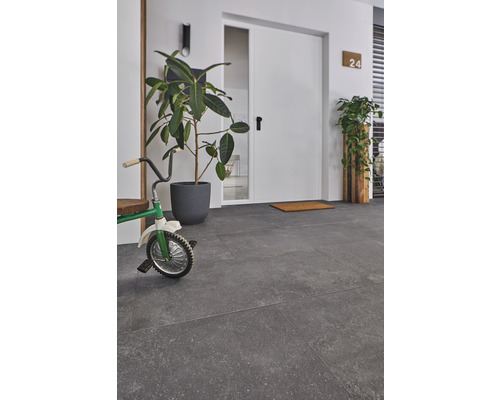 Entrée lumineuse avec carrelage gris et plantes d''intérieur