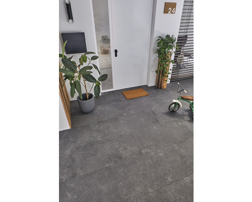 Couloir avec carrelage gris au sol, porte, plante et décoration