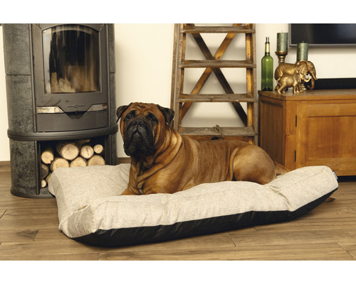 Bullmastiff allongé sur un lit pour chien devant une cheminée et une échelle en bois