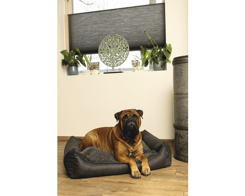 Un chien est allongé dans un lit pour chien dans une pièce lumineuse.