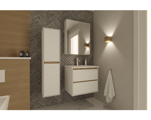 Salle de bain moderne avec lavabo, armoire de toilette et armoire haute