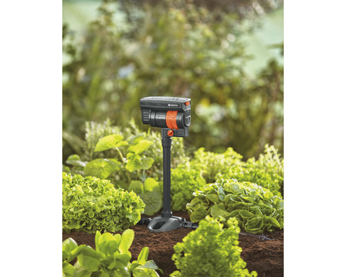 Système d''arrosage de jardin en fonction entre les plantes