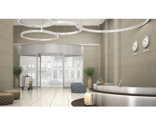 Hall d''accueil lumineux avec porte tambour, réception et plafonniers ronds