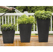 Trois pots de fleurs carrés plantés de différentes tailles sont arrosés avec un tuyau d''arrosage.