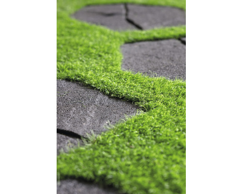 Gros plan de dalles de jardin avec de l''herbe dans les joints