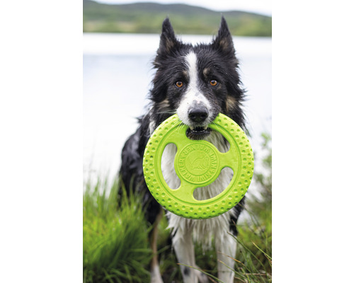 Frisbee en TPR pour chien