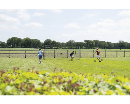 Fussballspiel mit Fussballtor auf Rasenfläche