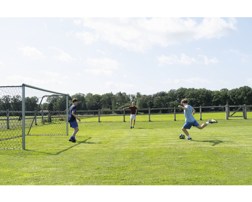 Drei Kinder spielen Fußball auf einem Rasenplatz mit einem Fußballtor.