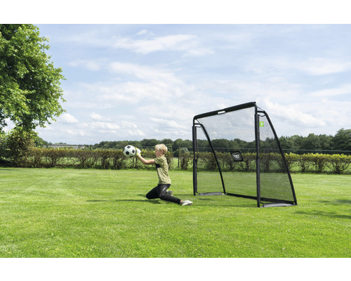 Szene im Freien mit einem Fussballtor und einem Torwart beim Ballfangen auf einer Wiese.