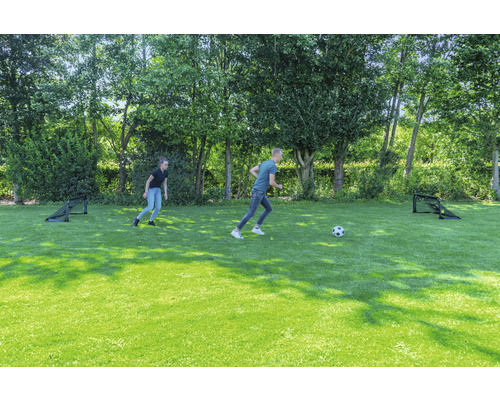 Zwei Personen spielen mit einem Ball auf einer grünen Wiese mit zwei Fußballtoren.