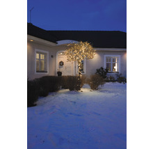 Façade de maison avec un arbre décoré d''une guirlande lumineuse