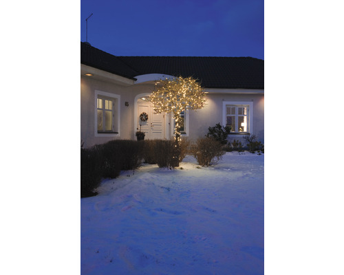 Façade de maison avec un arbre décoré d''une guirlande lumineuse