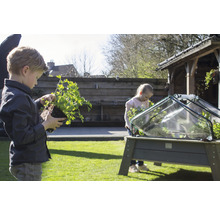 Deux enfants plantent des herbes aromatiques dans un potager surélevé dans le jardin.