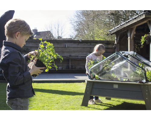 Deux enfants plantent des herbes aromatiques dans un potager surélevé dans le jardin.