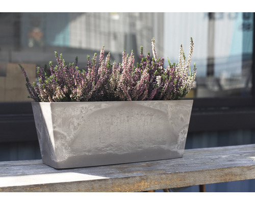 Jardinière rectangulaire avec bruyère sur une table en bois