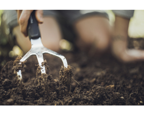 Griffe de jardin en cours d''utilisation dans la terre