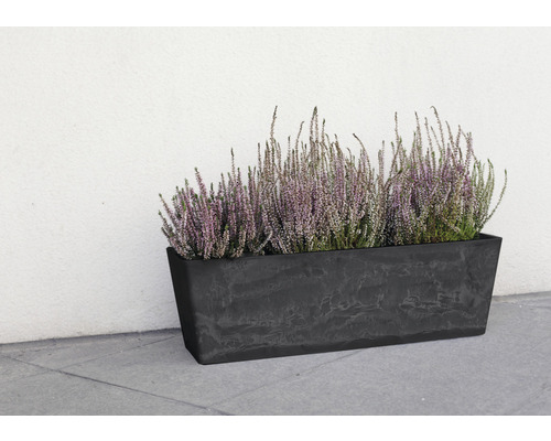 Jardinière rectangulaire avec bruyère