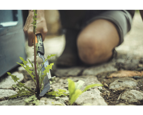 Une personne enlève les mauvaises herbes avec un désherbeur entre les pavés.