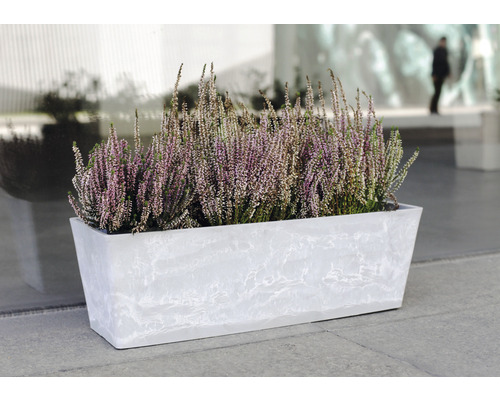 Rechteckiger Pflanzkasten mit Heidekraut