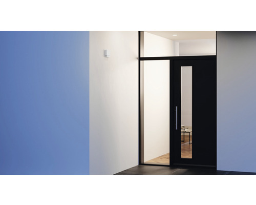 Szene mit Haustür, Glasfenster und Bewegungsmelder an der Wand