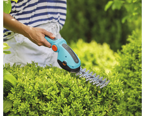 Gartenschere im Einsatz an einer Hecke