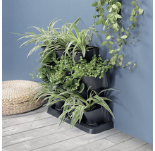 Jardin vertical avec des plantes en pot sur un mur