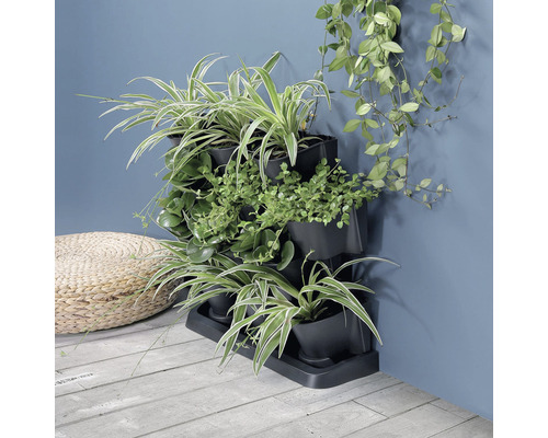 Jardin vertical avec des plantes en pot sur un mur