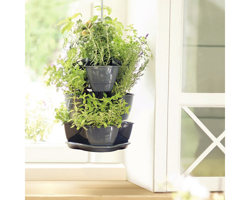 Mehrstöckiger Kräutergarten mit verschiedenen Kräutern in Töpfen