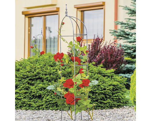 Arche à roses avec des roses rouges dans le jardin