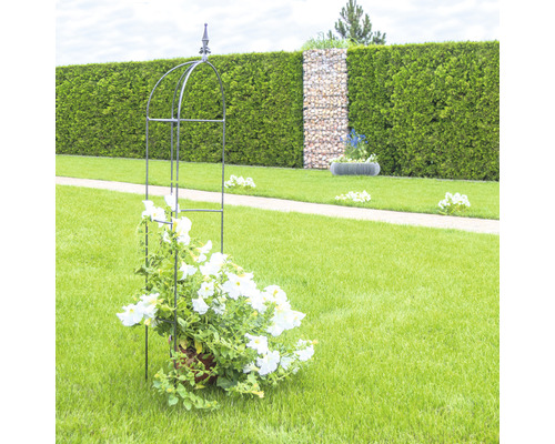 Support à plantes grimpantes en métal avec plantes fleuries dans le jardin