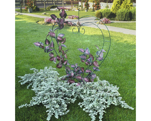 Herzförmige Rankhilfe mit Pflanzen im Garten.