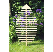 Scène de jardin avec un support d''escalade en bois pour plantes