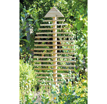 Pyramide en bois Tuteur de plantes dans le jardin
