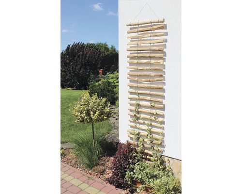 Support à plantes grimpantes en bois sur un mur de maison avec jardin en arrière-plan