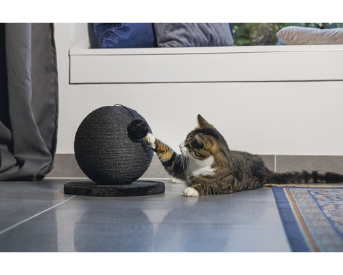 Chat jouant avec un arbre à chat rond sur un sol carrelé.