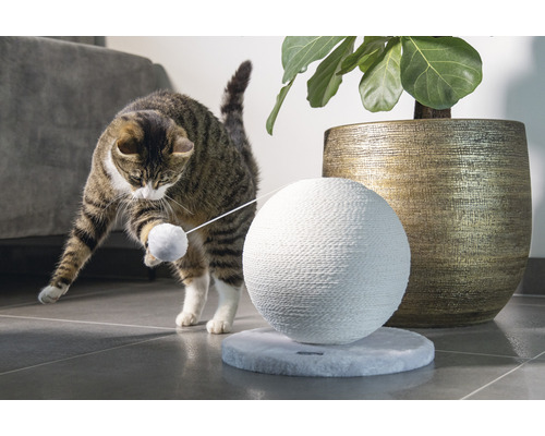Katze spielt mit einem Kratzball und einer Spielzeugmaus auf einer runden Plattform