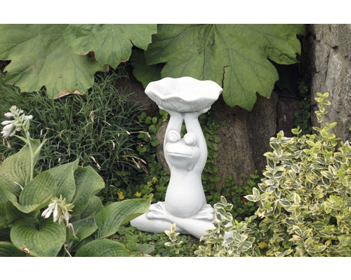 Statuette de jardin grenouille avec abreuvoir à oiseaux dans le jardin
