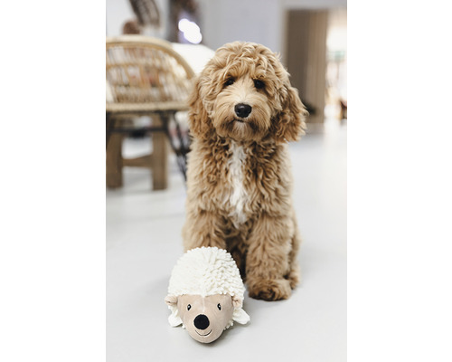 Un chien est assis à côté d''un hérisson en peluche sur le sol.