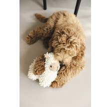 Un goldendoodle câline une peluche lama sur le sol.