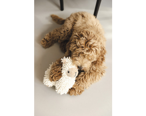 Ein goldener Doodle-Hund kuschelt mit einem Lama-Stofftier auf dem Boden.