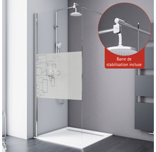 Cabine de douche avec barre de stabilisation, pomme de douche et décor