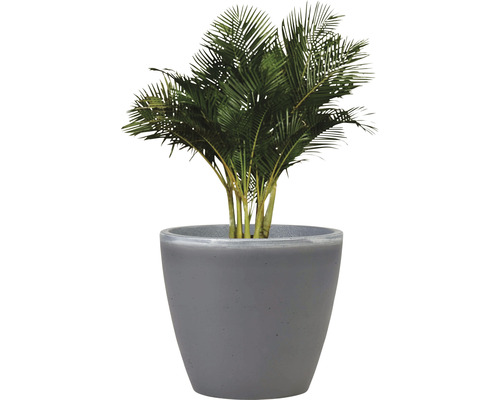 Künstliche Areca-Palme im Pflanzgefäß