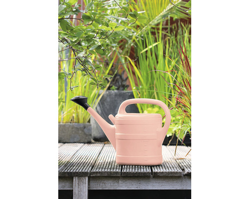 Arrosoir sur une terrasse en bois devant des plantes