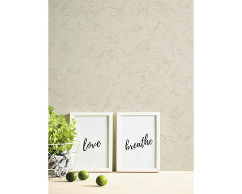 Décoration murale avec deux images encadrées et une plante